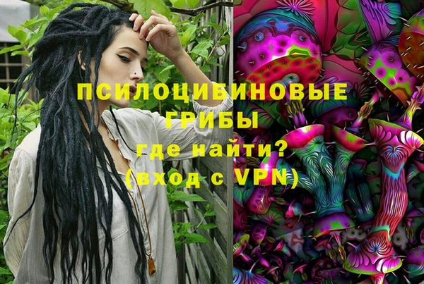 сатива Алексеевка