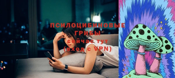 сатива Алексеевка