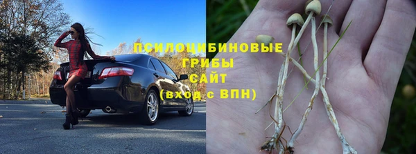 таблы Алзамай